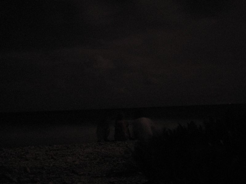 bz20050715_194924.jpg
