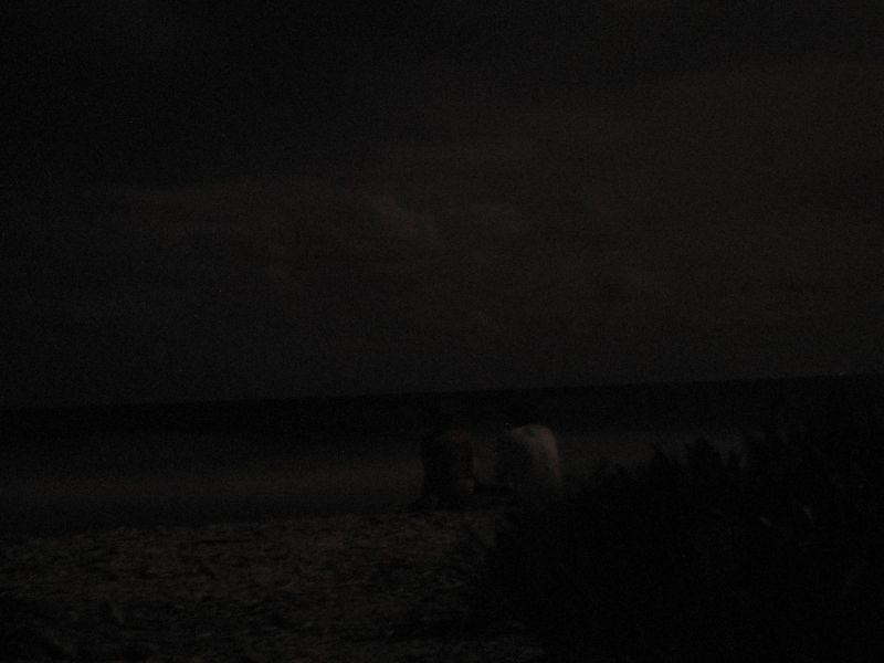 bz20050715_195024.jpg