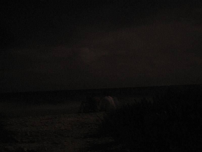 bz20050715_195224.jpg