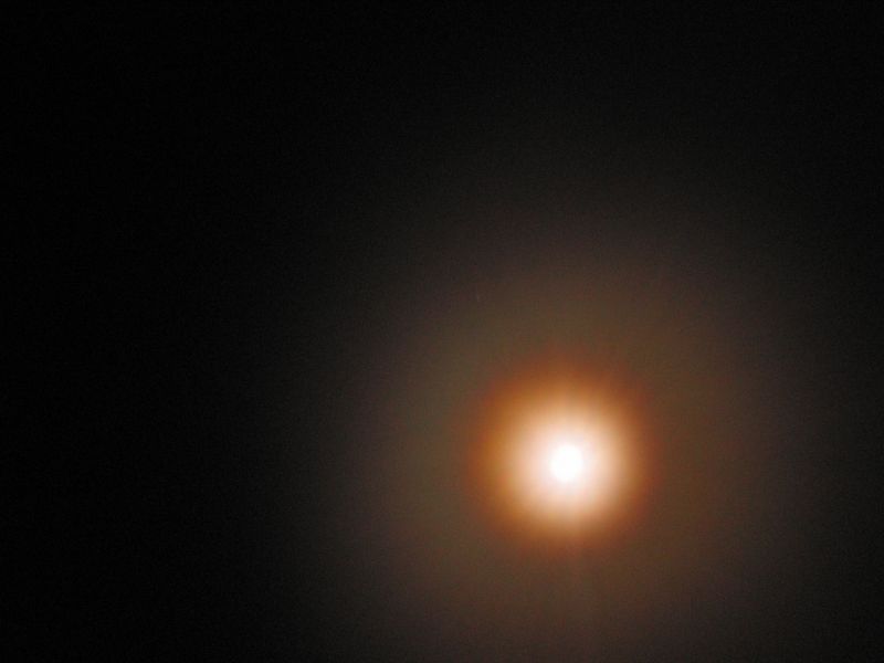 bz20050715_200430.jpg