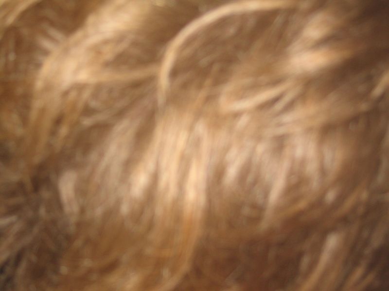 bz20050715_200700.jpg