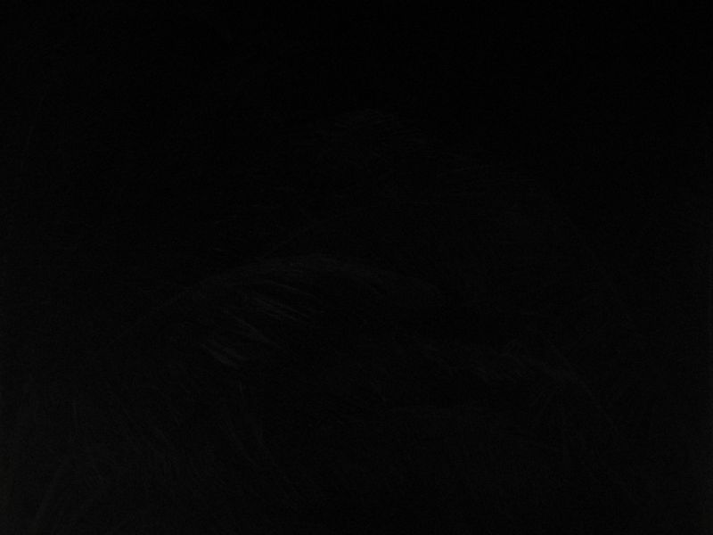 bz20050715_201312.jpg