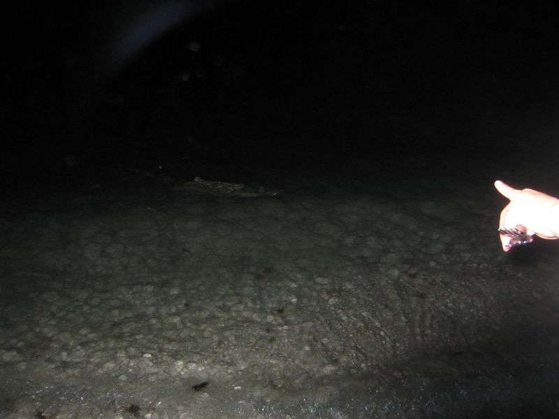 bz20050715_213850.jpg