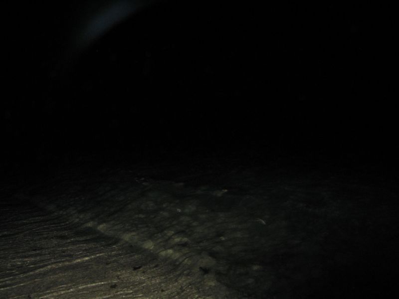 bz20050715_214148.jpg