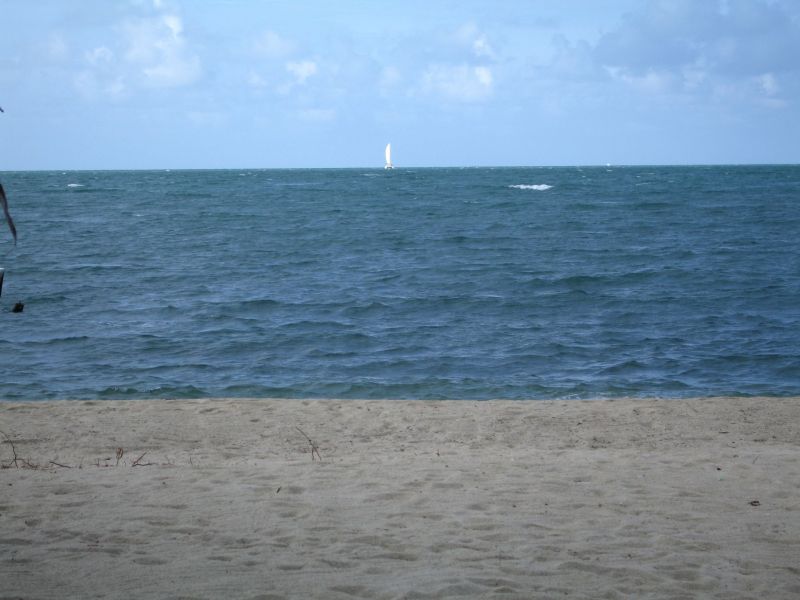 bz20050716_154654.jpg