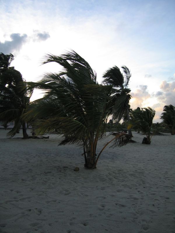 bz20050716_171410.jpg