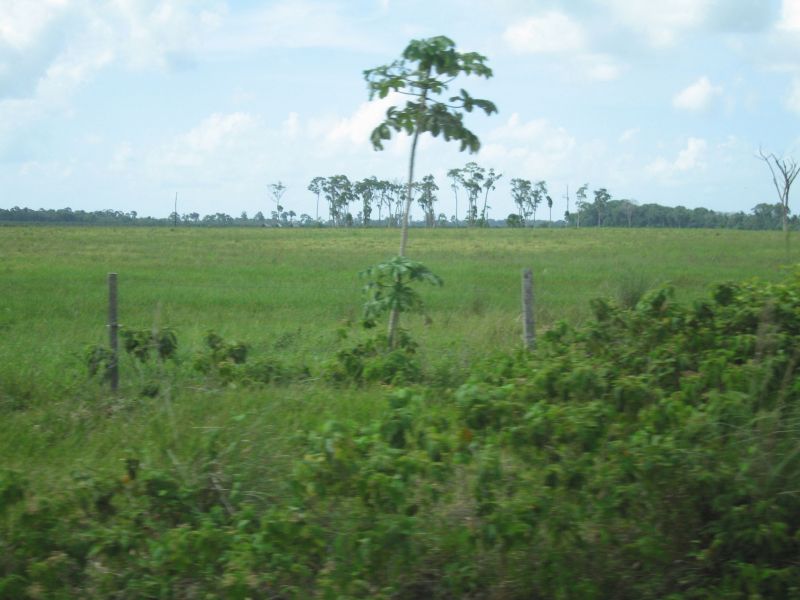 bz20050717_080530.jpg