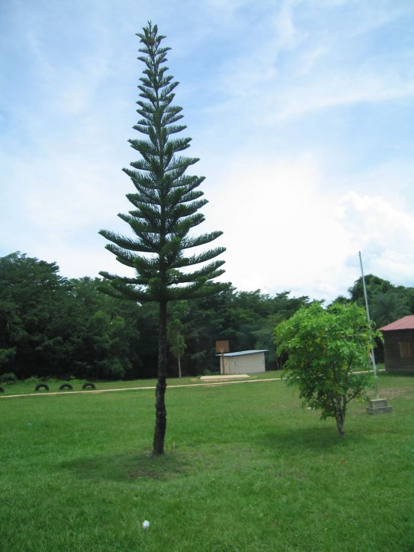 bz20050717_100320.jpg