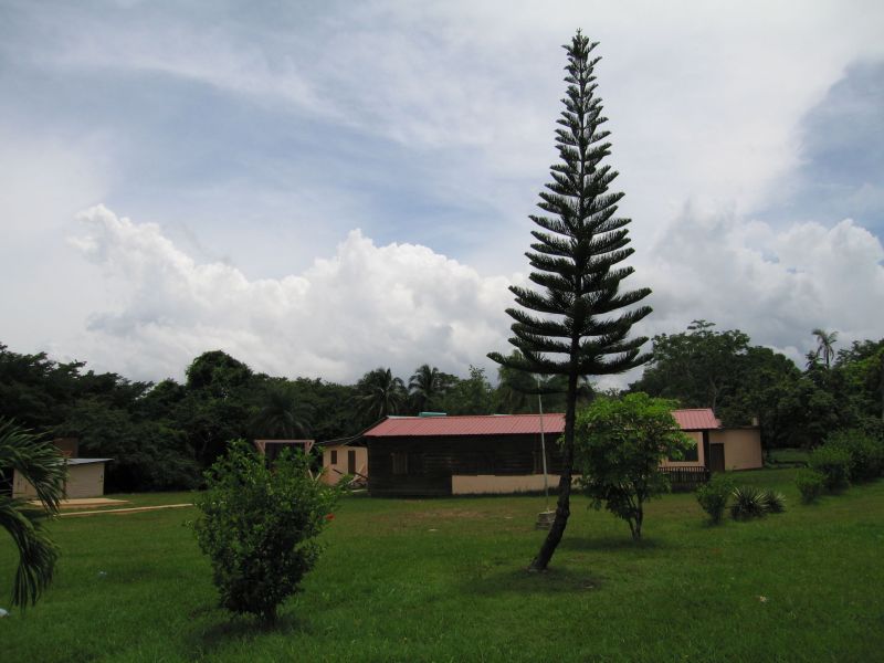 bz20050717_100424.jpg