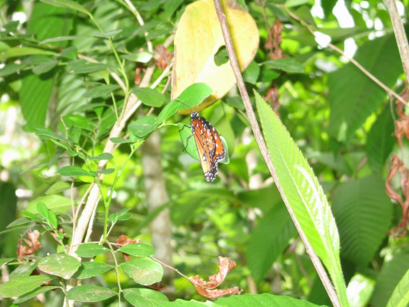 bz20050717_111048.jpg