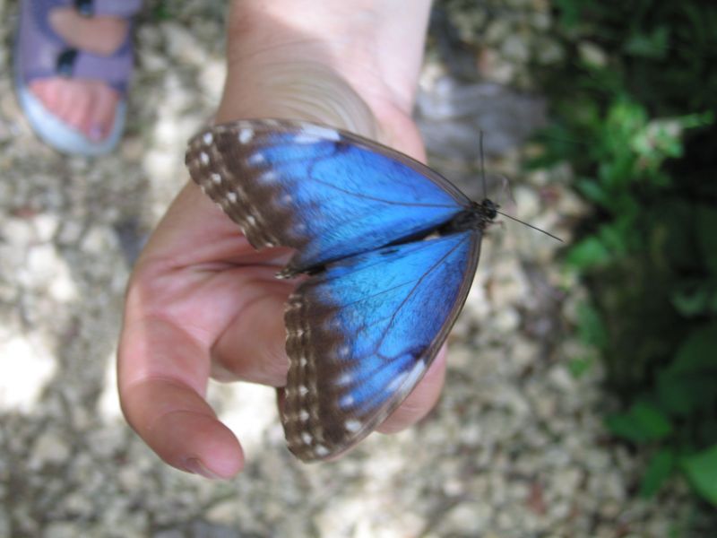 bz20050717_112652.jpg