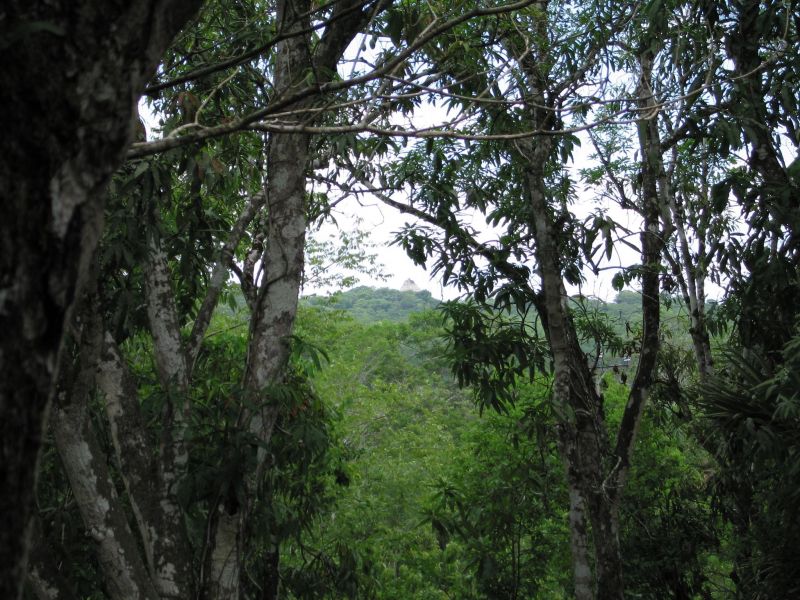 bz20050717_115440.jpg