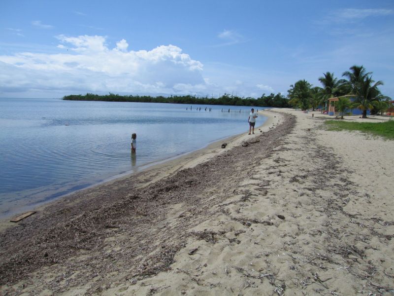 bz20050718_094002.jpg