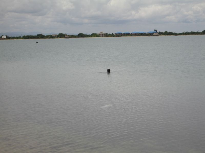 bz20050718_094130.jpg