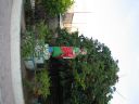 bz20050701_160354.jpg