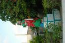 bz20050701_160420.jpg