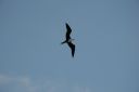 bz20050701_162310.jpg