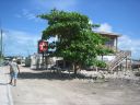 bz20050702_072806.jpg
