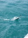 bz20050704_121736.jpg