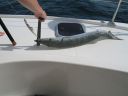 bz20050704_133846.jpg