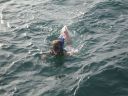 bz20050704_151838.jpg