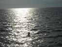 bz20050704_151922.jpg