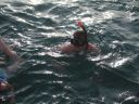 bz20050704_151948.jpg