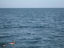 bz20050704_152034.jpg