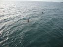 bz20050704_152540.jpg