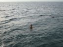 bz20050704_152552.jpg
