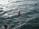 bz20050704_152648.jpg