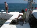 bz20050705_114208.jpg
