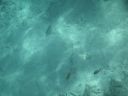 bz20050706_100522.jpg