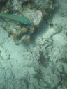 bz20050706_100542.jpg