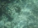 bz20050706_101116.jpg