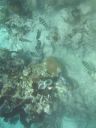 bz20050706_101338.jpg