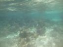 bz20050706_103516.jpg