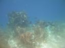 bz20050706_103616.jpg