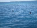 bz20050706_115150.jpg