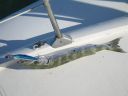 bz20050706_143640.jpg