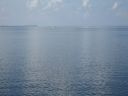 bz20050707_064908.jpg