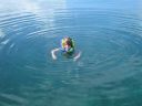 bz20050707_072710.jpg