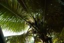bz20050707_153834.jpg