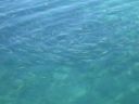 bz20050707_155256.jpg