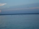 bz20050707_170208.jpg