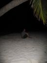 bz20050711_181134.jpg