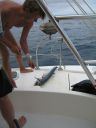 bz20050712_100434.jpg
