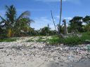 bz20050712_140934.jpg