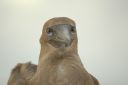 bz20050712_161128.jpg