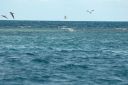 bz20050713_144320.jpg